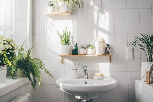 How to Create a Stunning Bathroom on a Budget: Your DIY Guide